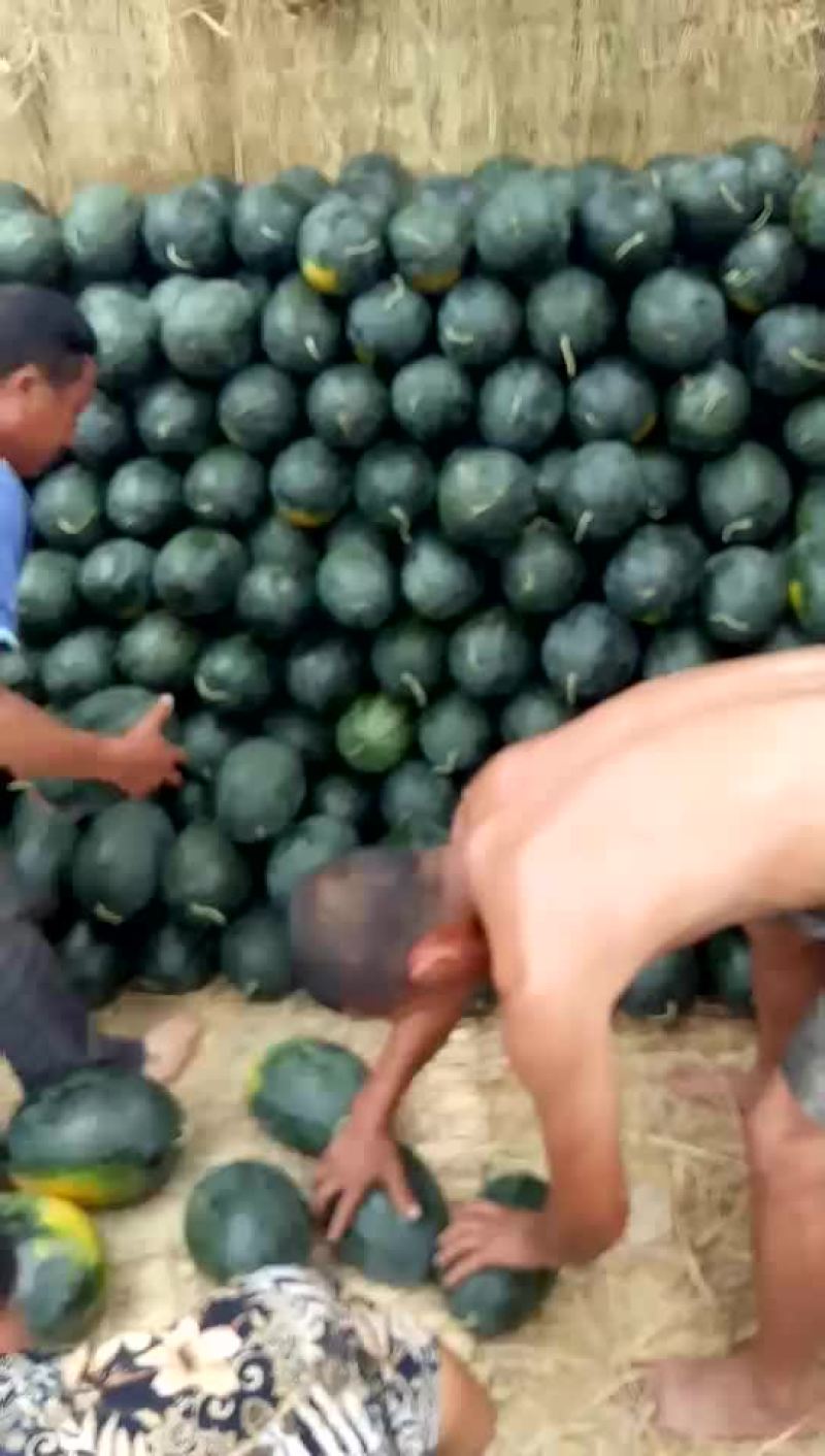 瓜果类