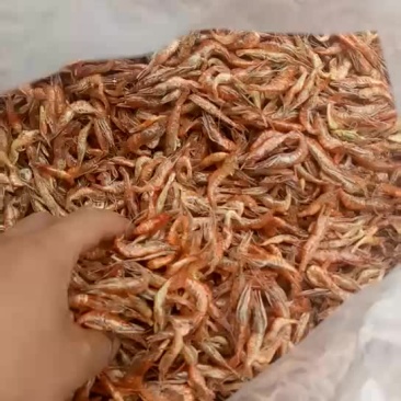 红虾干