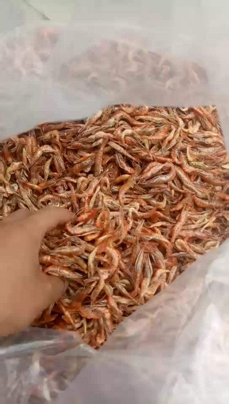红虾干