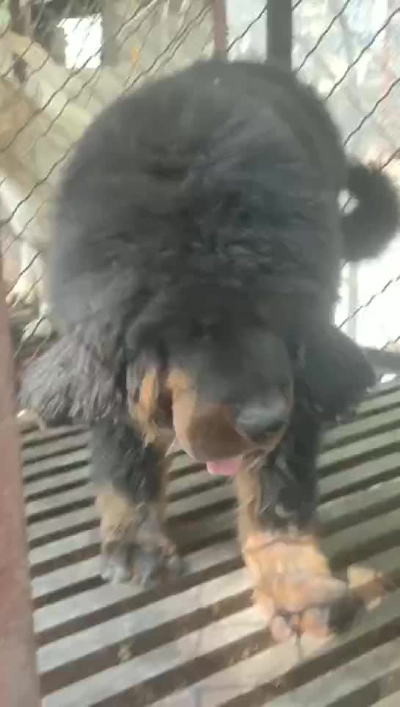 特种养殖
