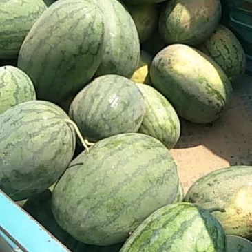 龙卷风老顾客找的熟度十分满意