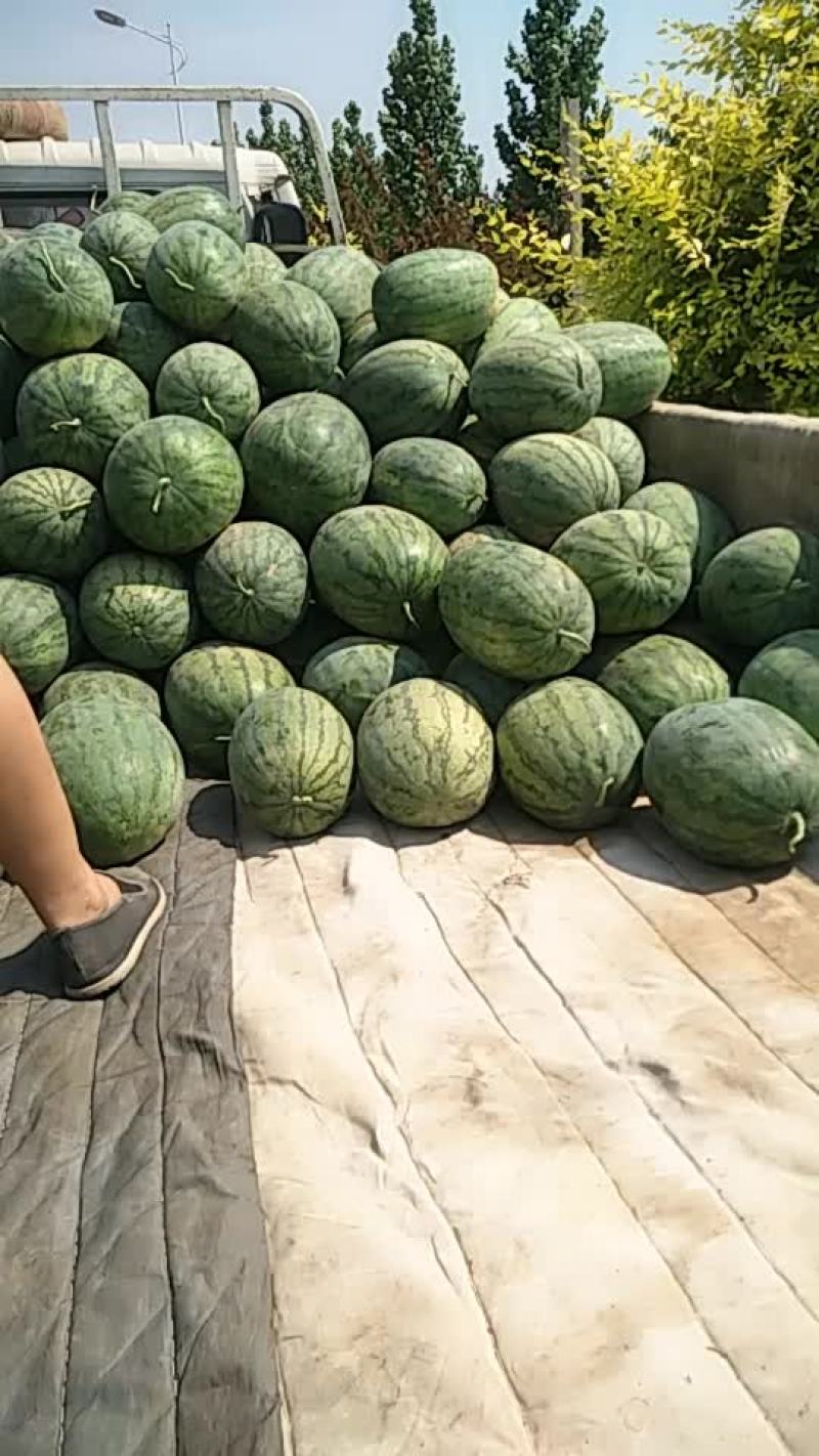 龙卷风老顾客找的熟度十分满意
