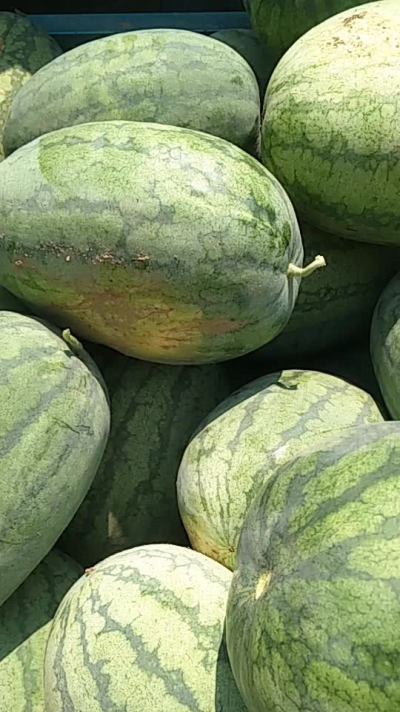 龙卷风老顾客找的熟度十分满意