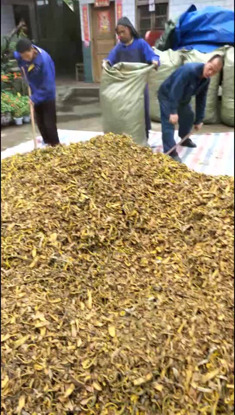 四川黄柏丝，产地直销，货干