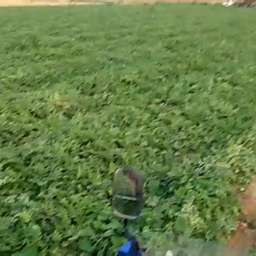 龙卷风，