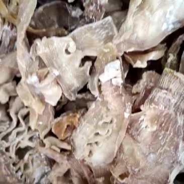 笋干，笋尖，笋片各种干笋！！！