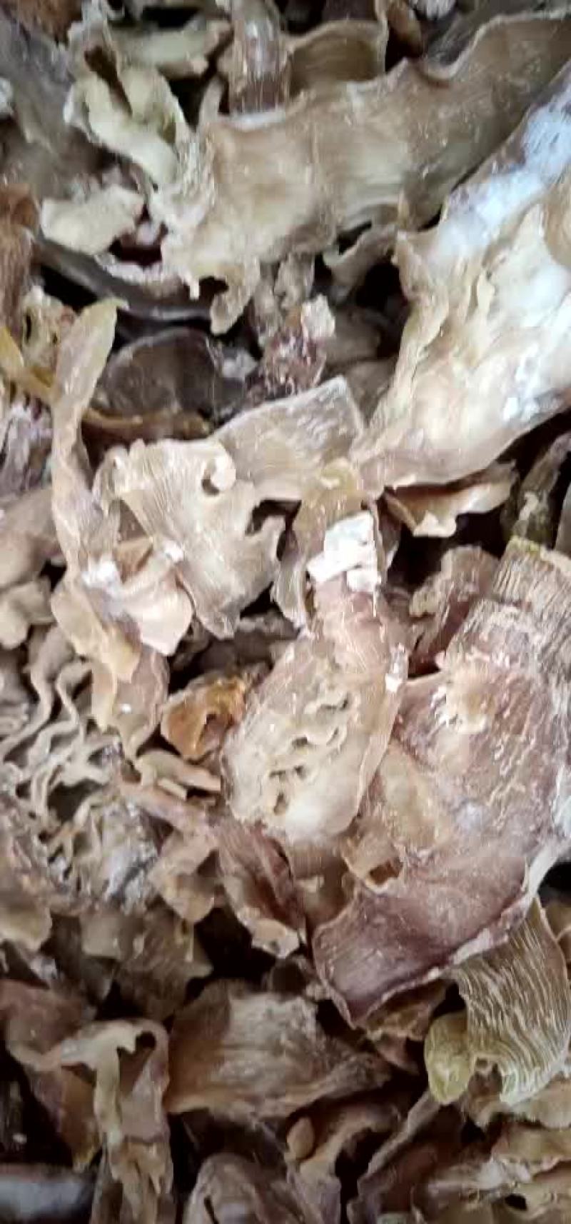 笋干，笋尖，笋片各种干笋！！！