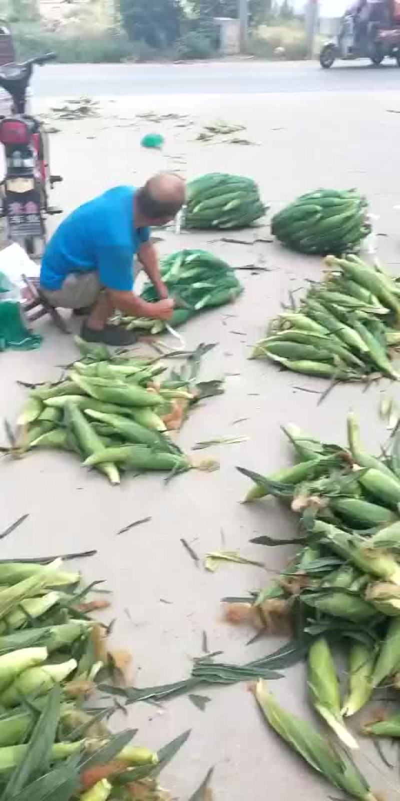 黏玉米，香甜，可口，价格不高，一块钱一个