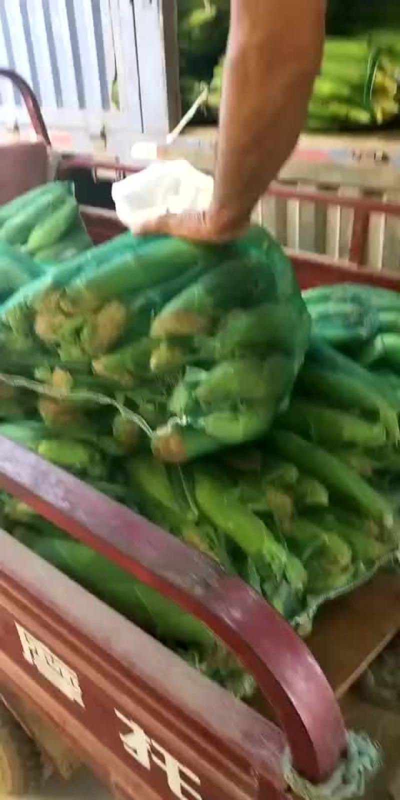 黏玉米，香甜，可口，价格不高，一块钱一个