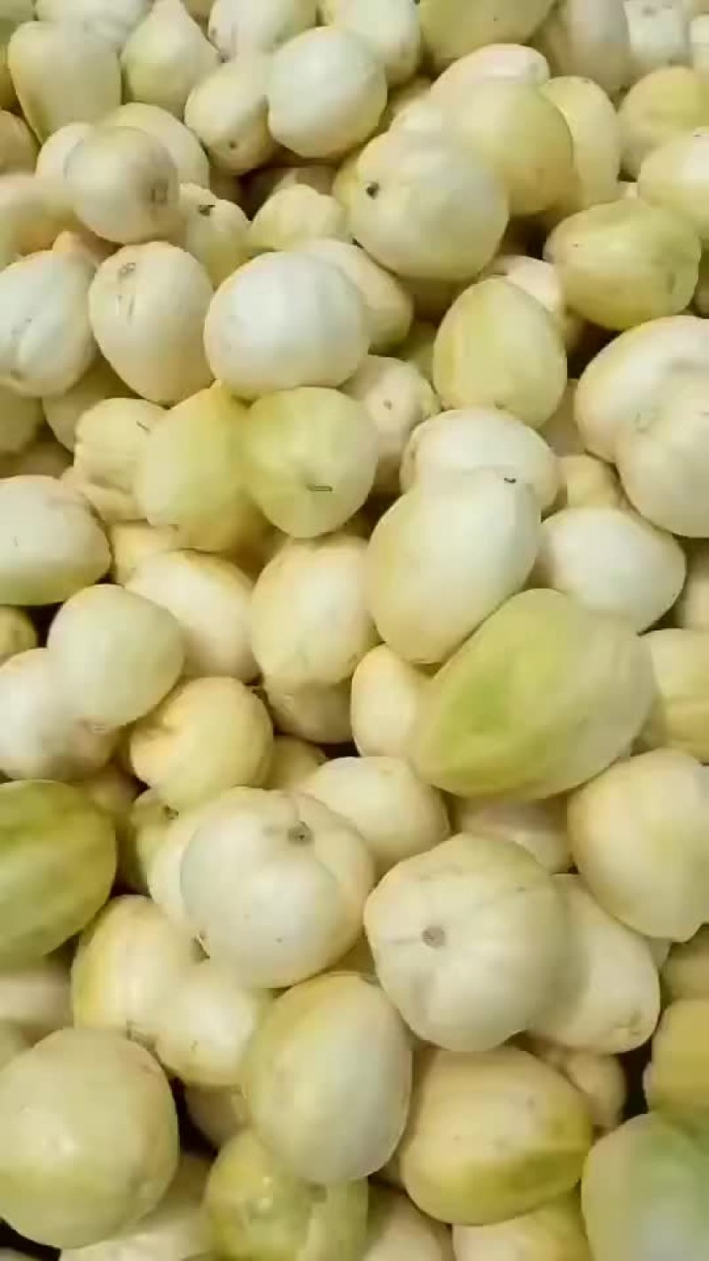 甜瓜大量上市