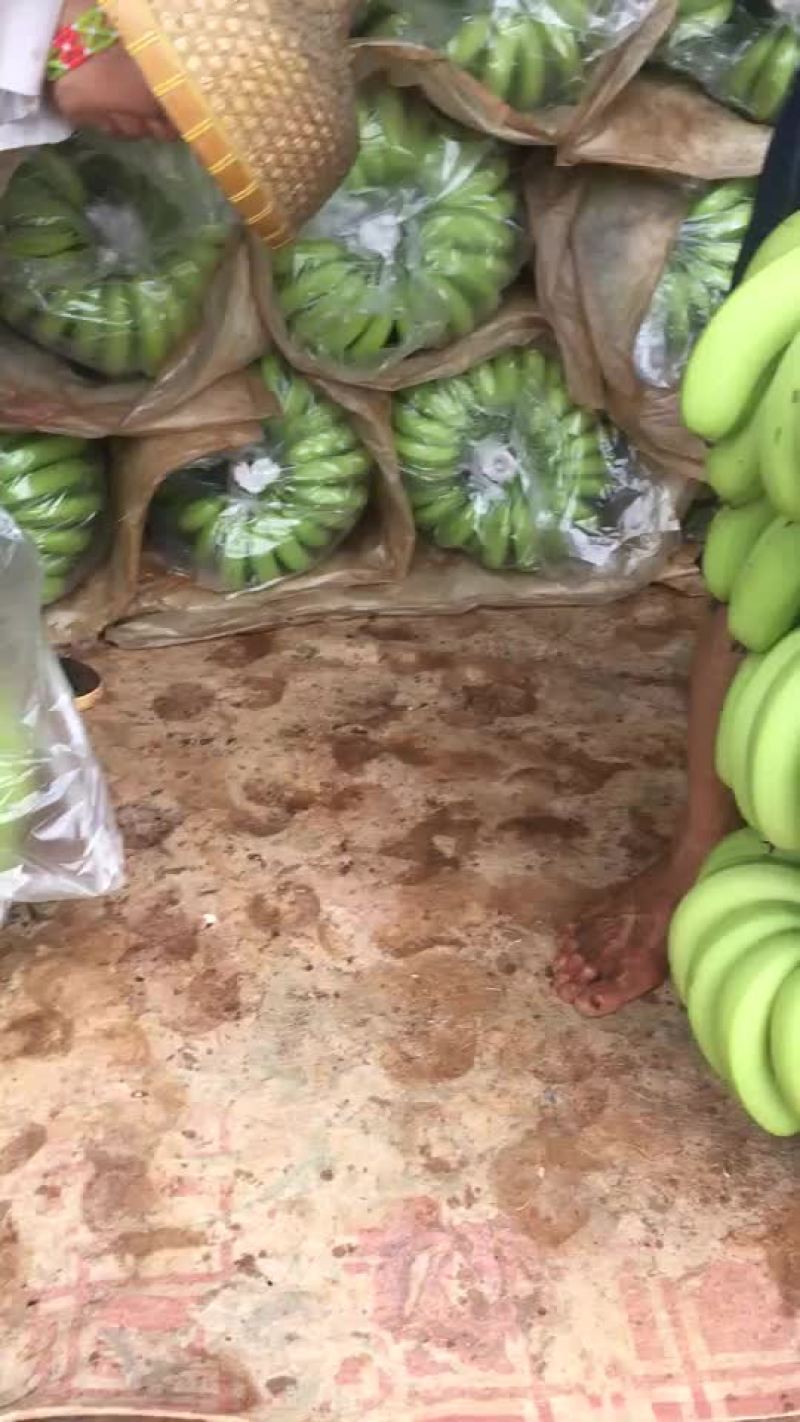 芭茜香蕉