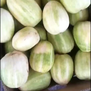 甜瓜