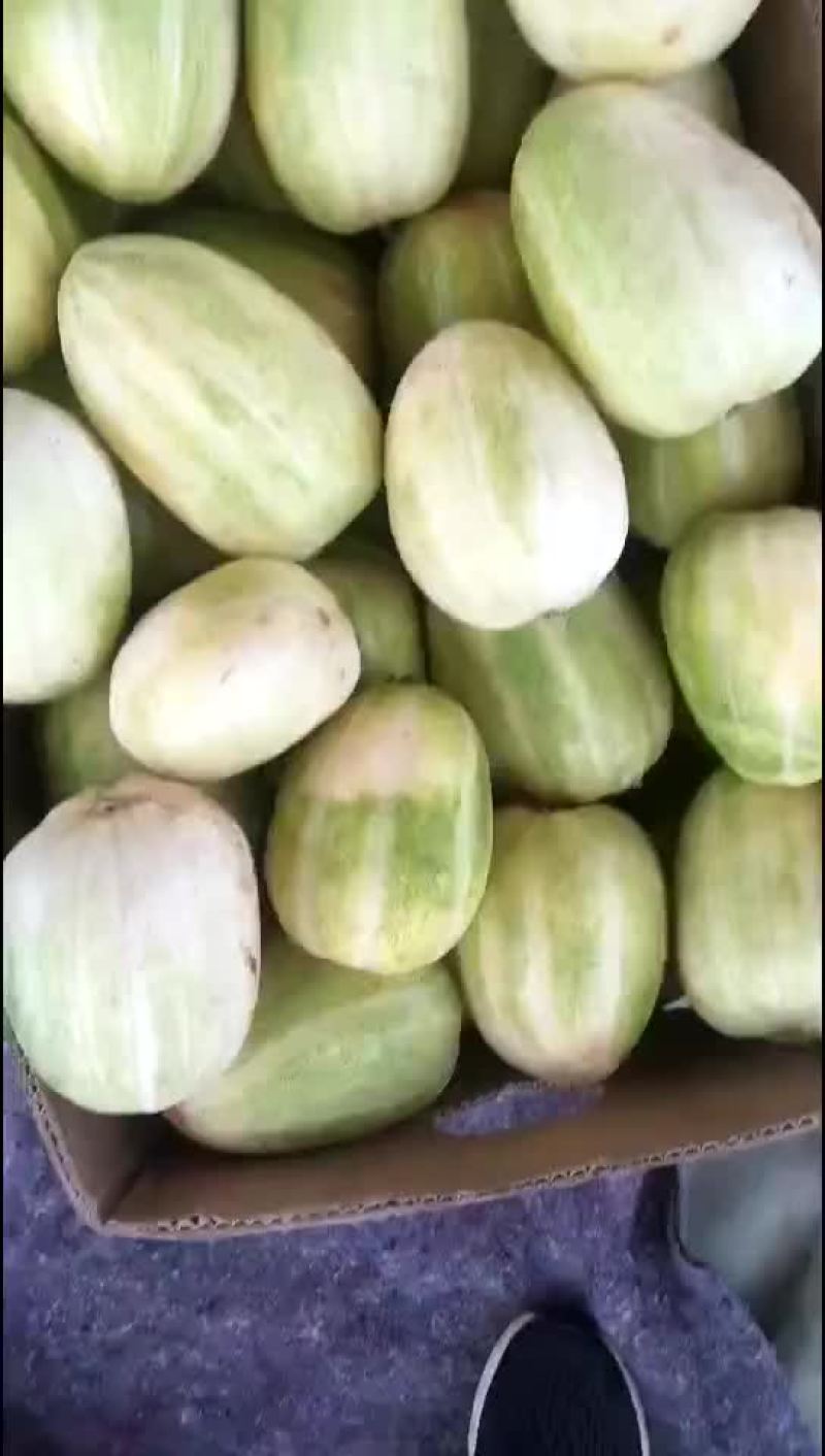 甜瓜