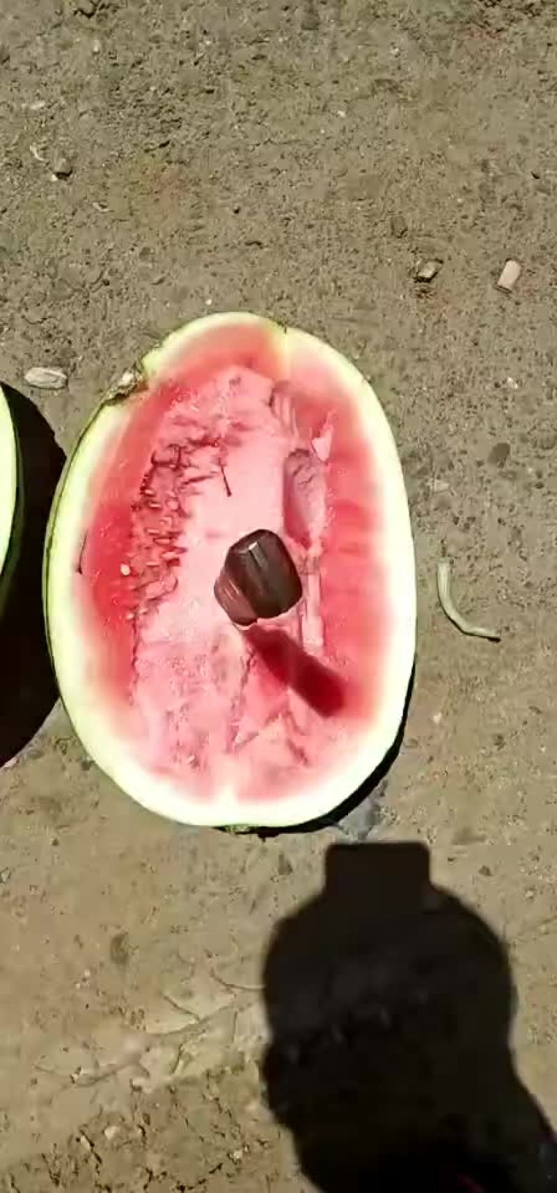 宁夏硒砂瓜