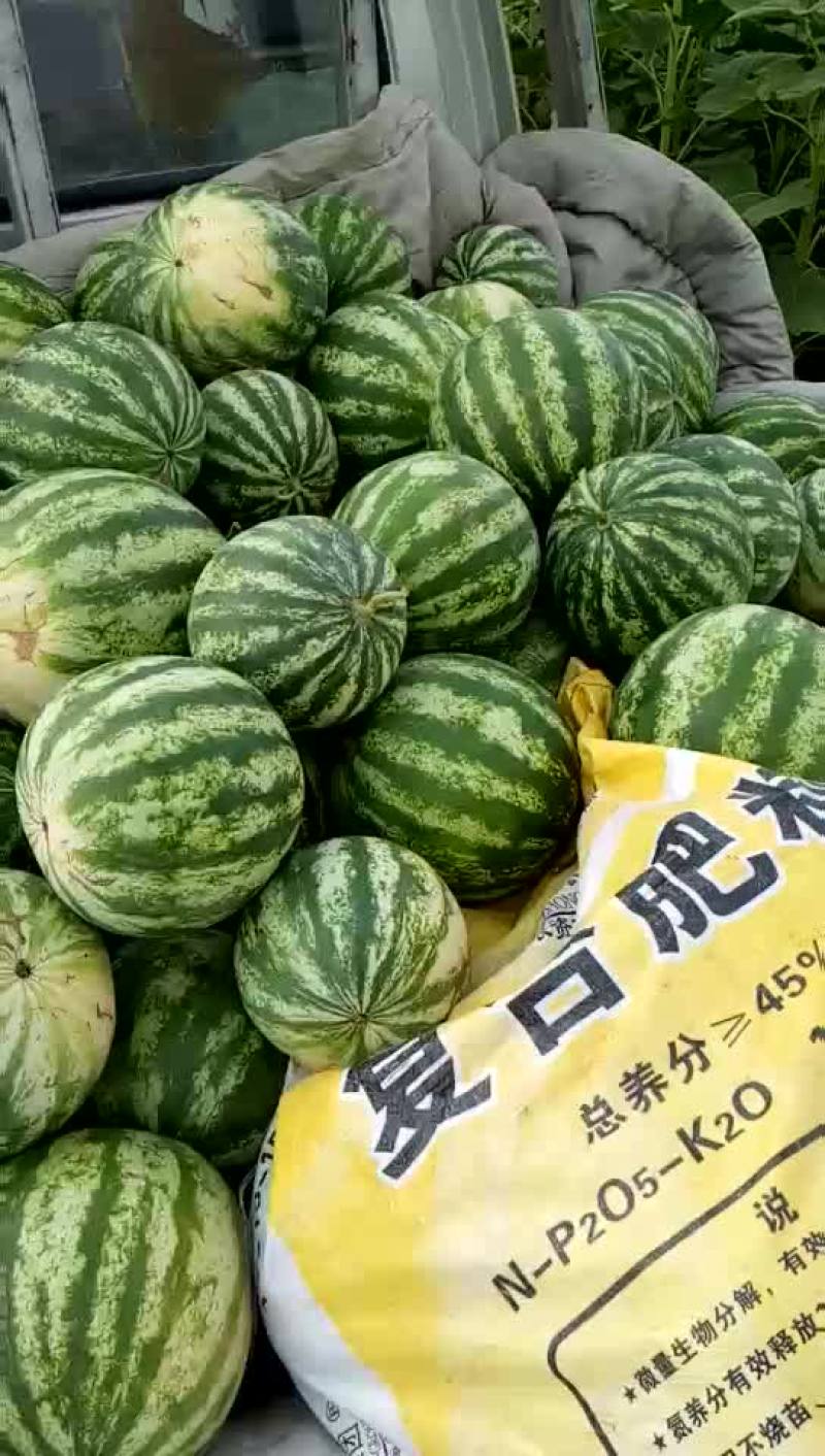 瓜果类