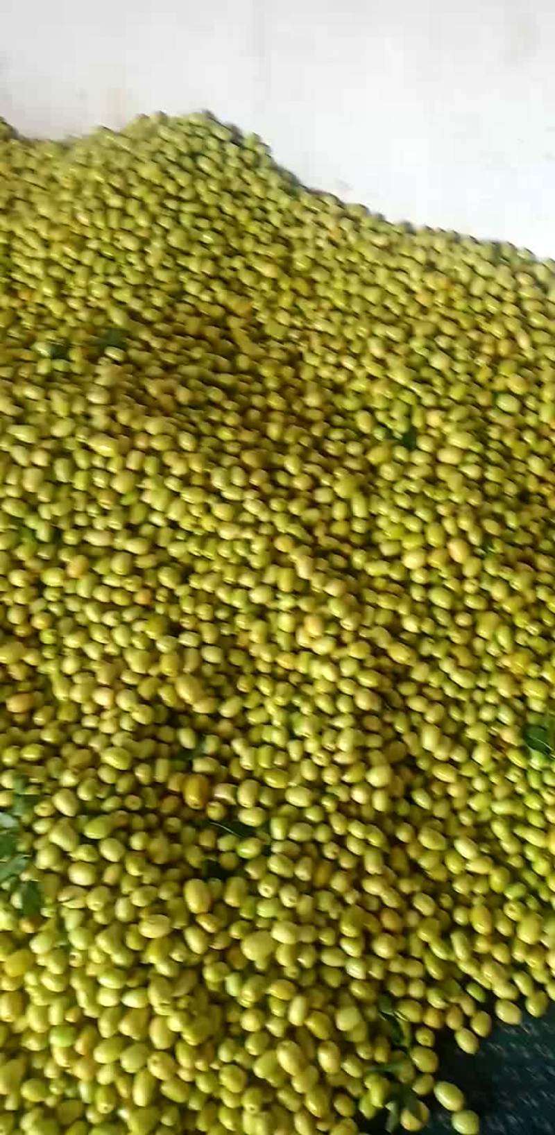 水果