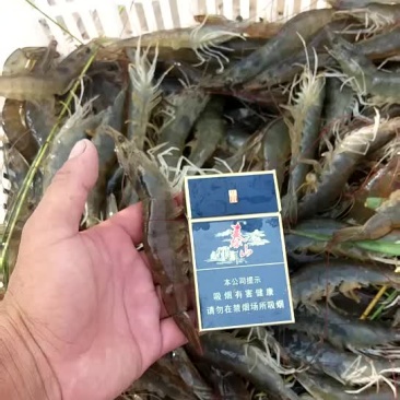 水产