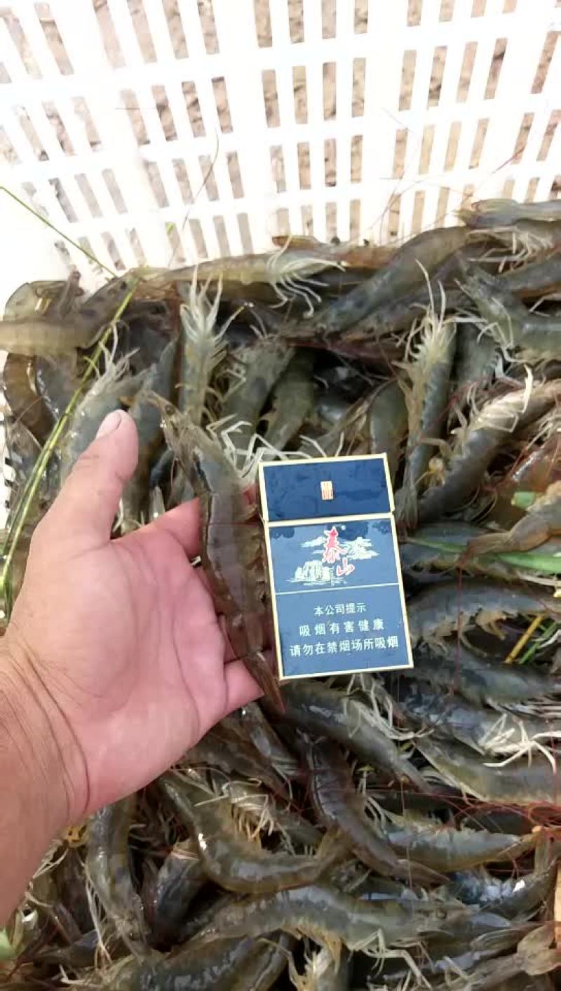 水产