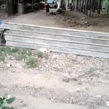 京新西瓜