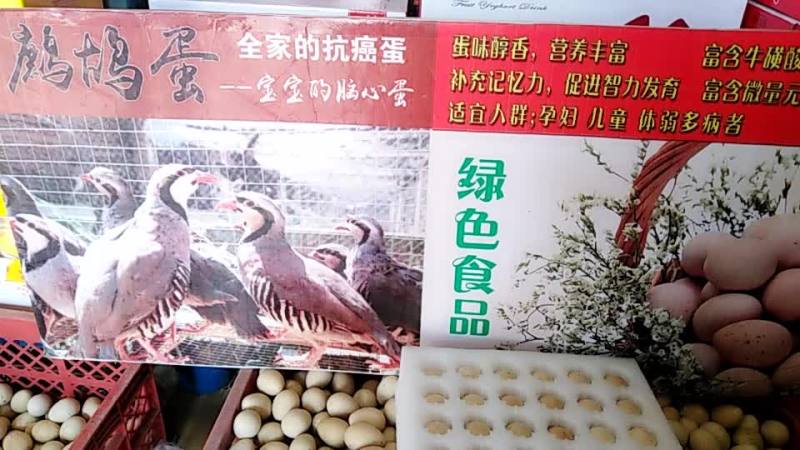 特种禽蛋