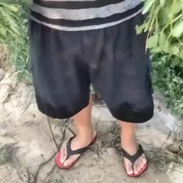鲜花生
