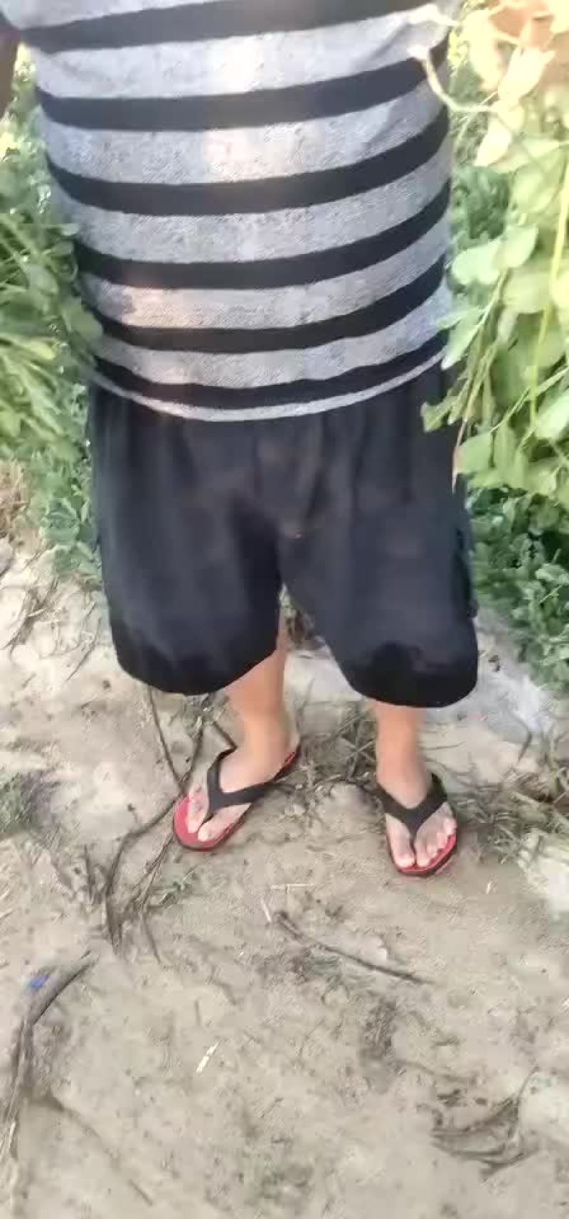 鲜花生