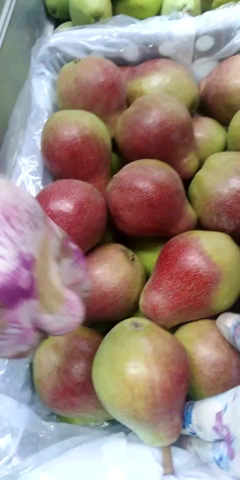 梨