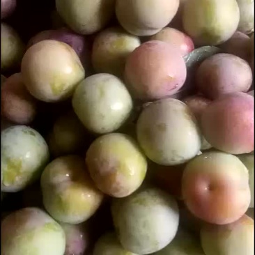水果