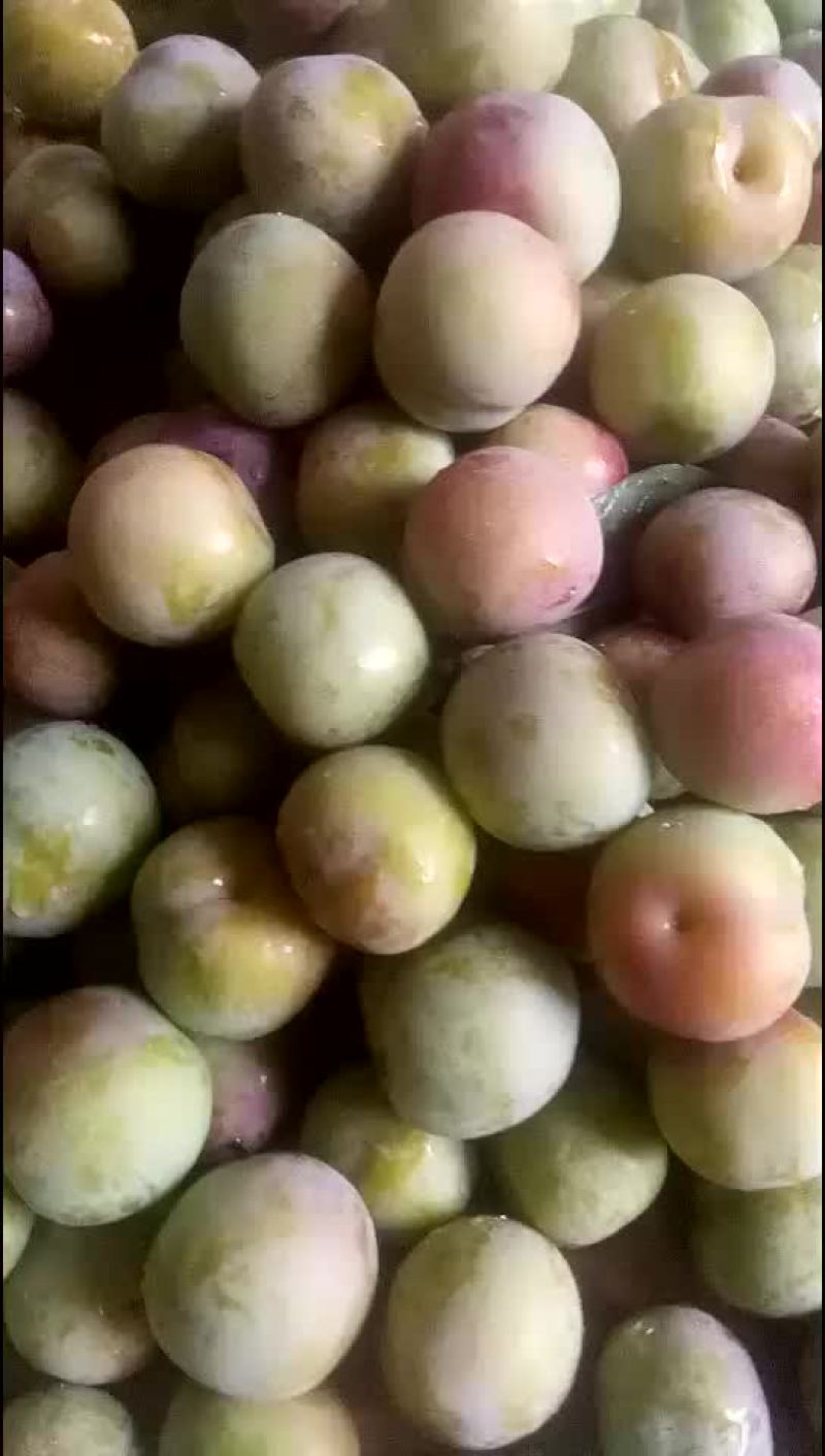 水果