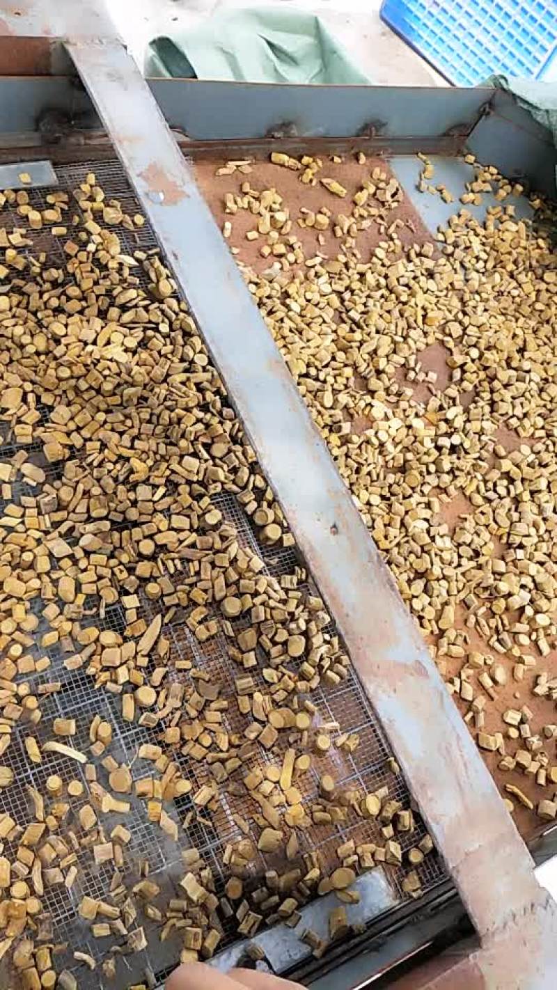 两面针粒