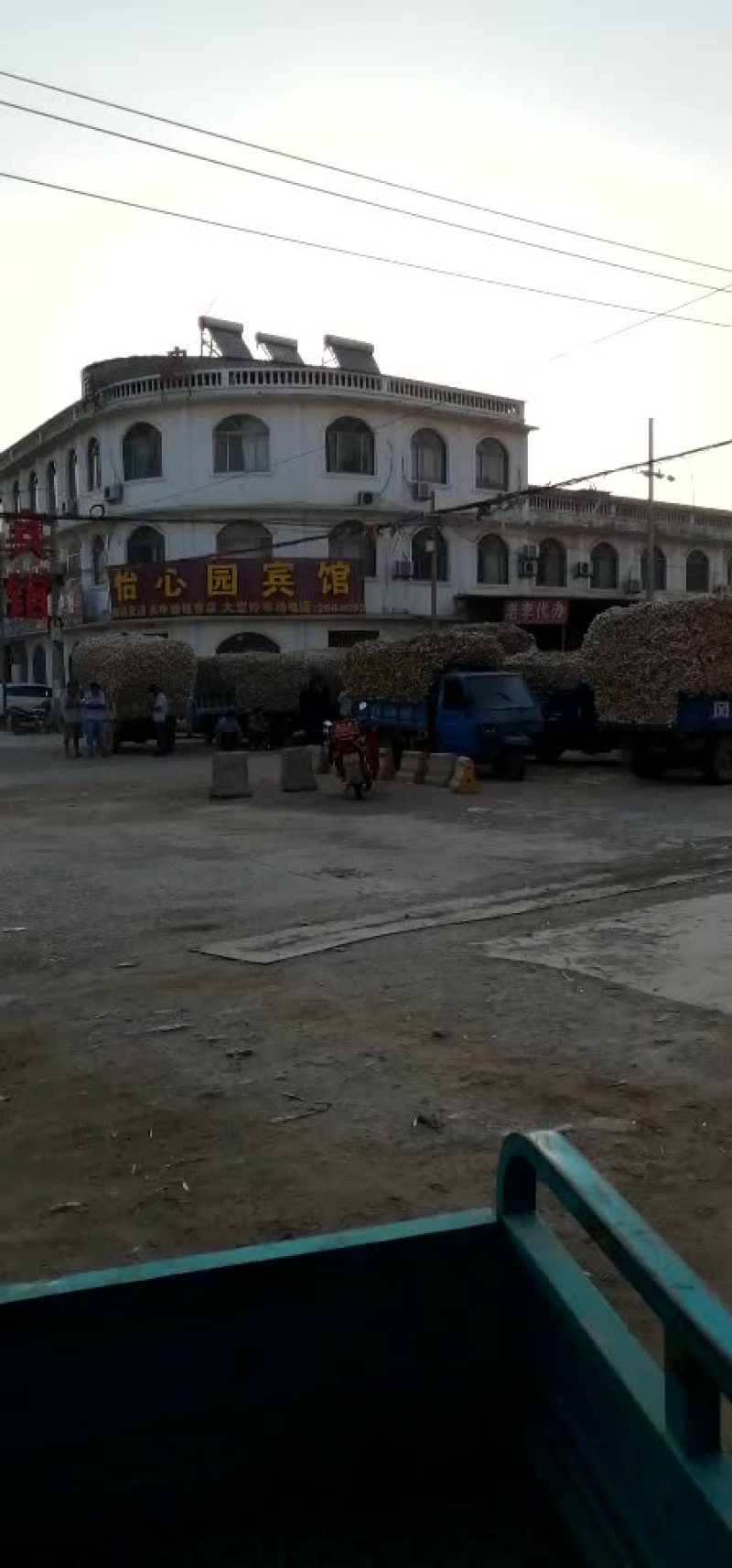 常年代收大蒜，蒜苔，有需用的联系