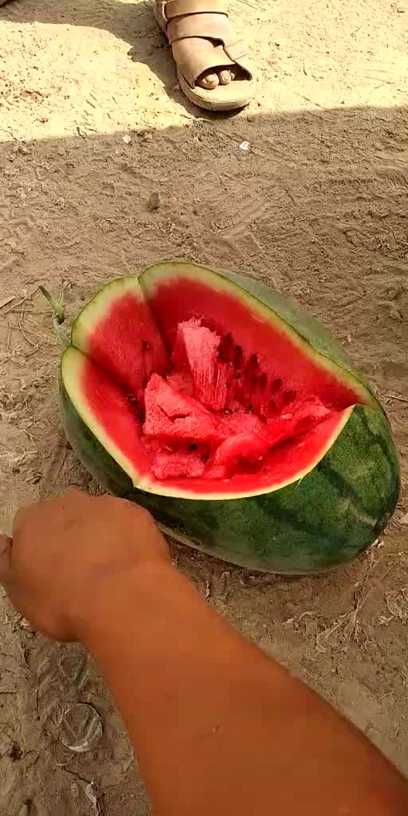 精品龙卷风