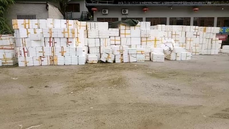 泡沫箱