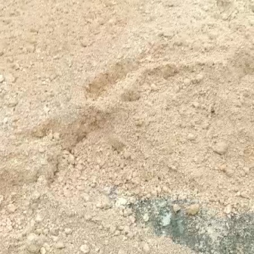 发酵豆腐渣。