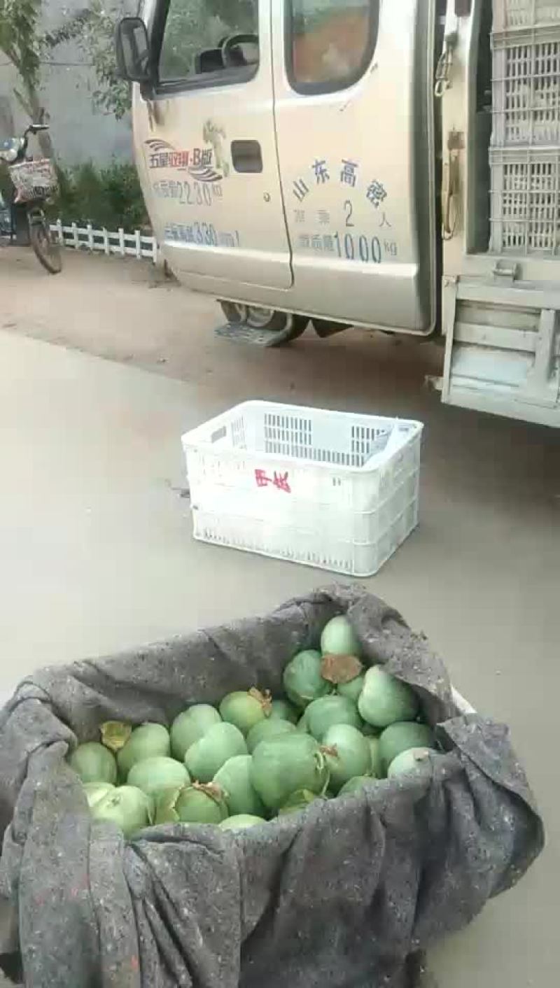 绿宝