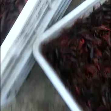 4一6