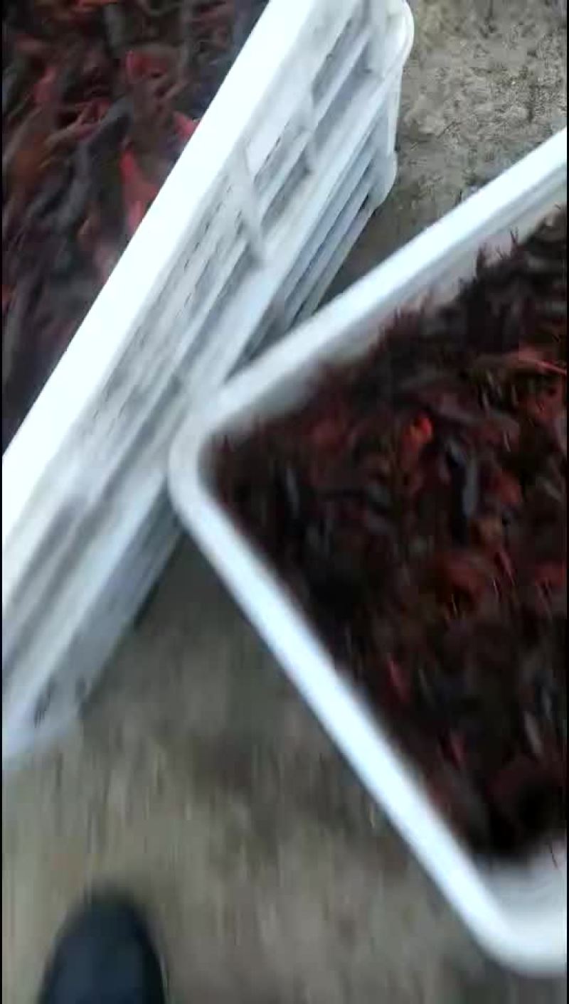 4一6