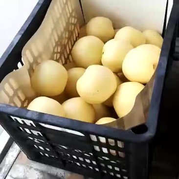 梨