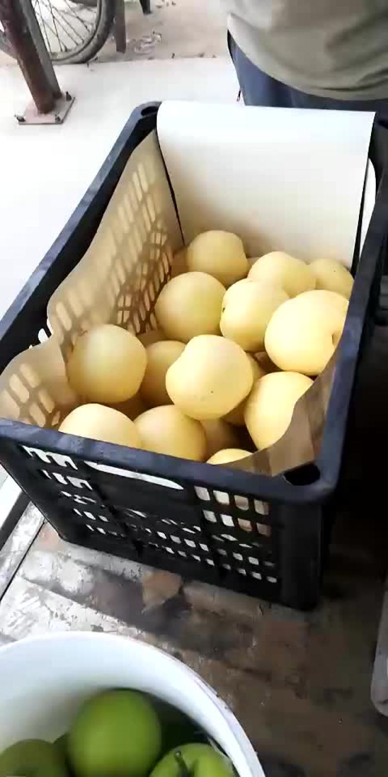梨