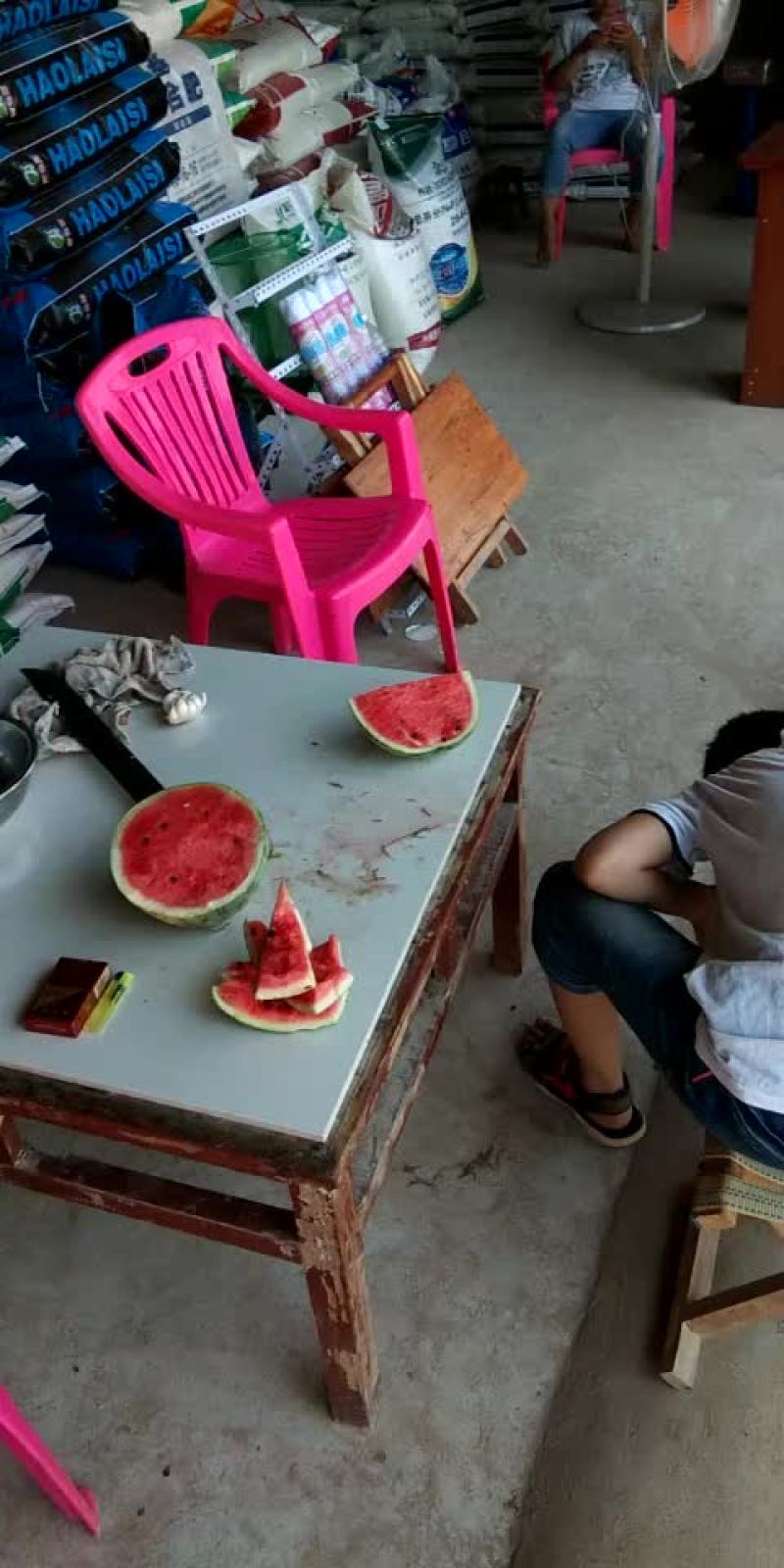 冠龙西瓜直播苗不嫁接，产地直销一手货