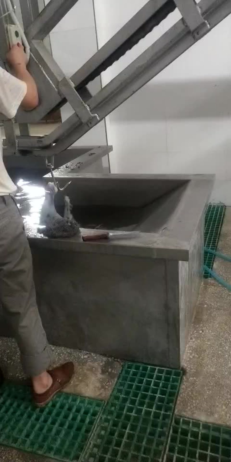 黑山羊肉