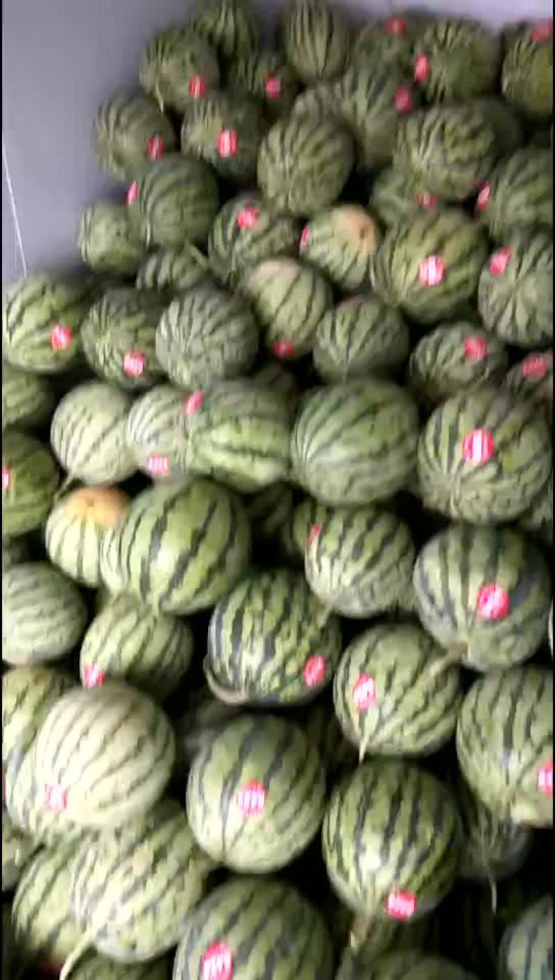8424