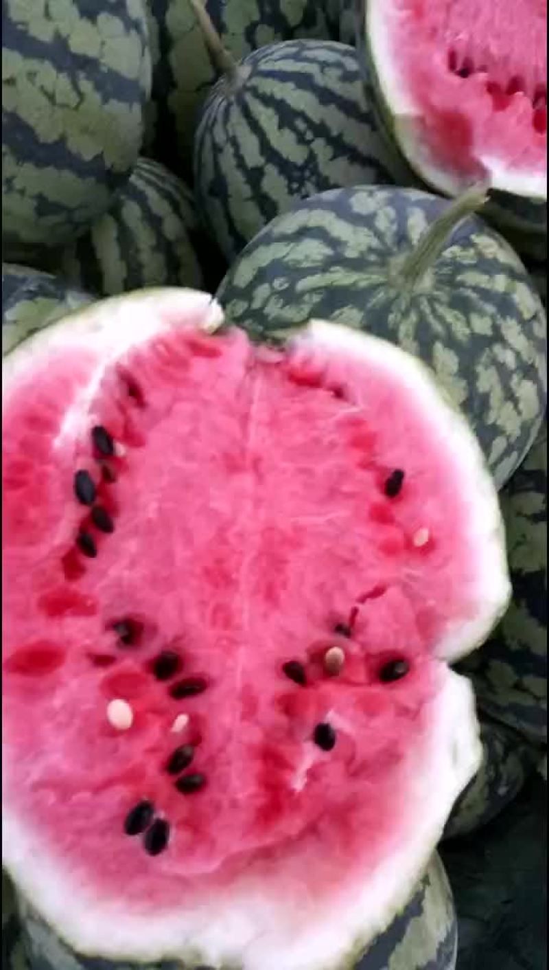 8424