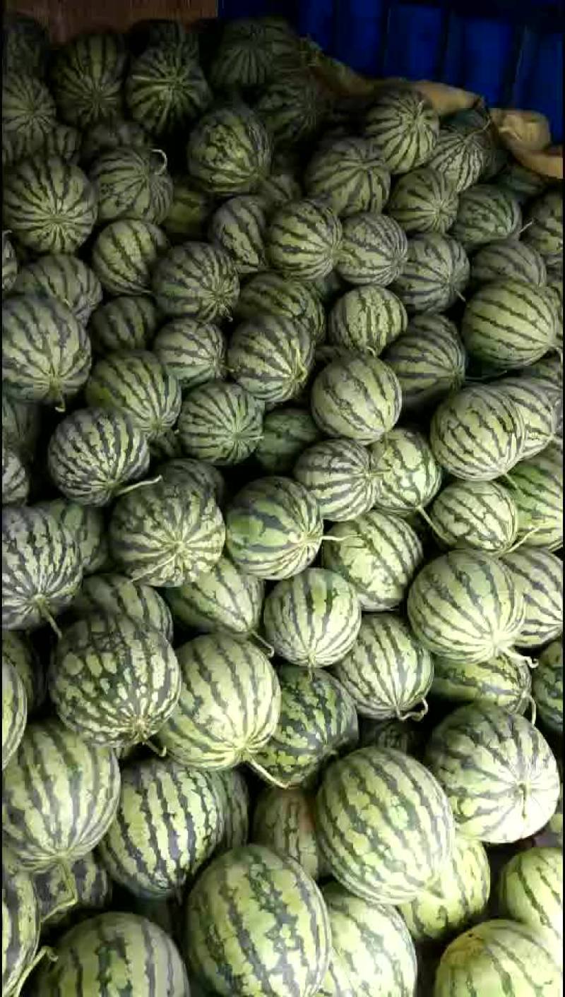 8424