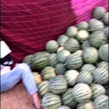 8424