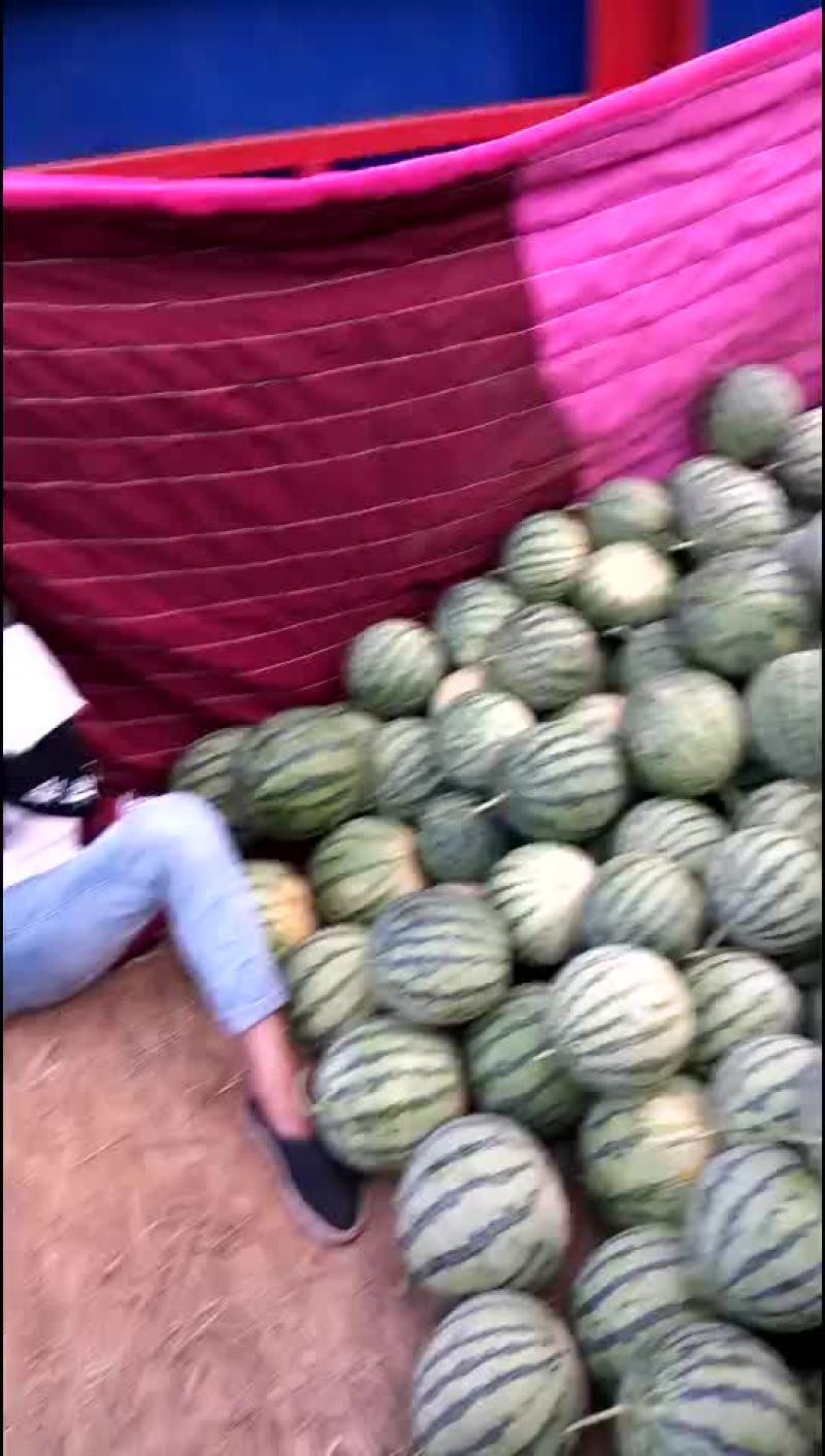 8424