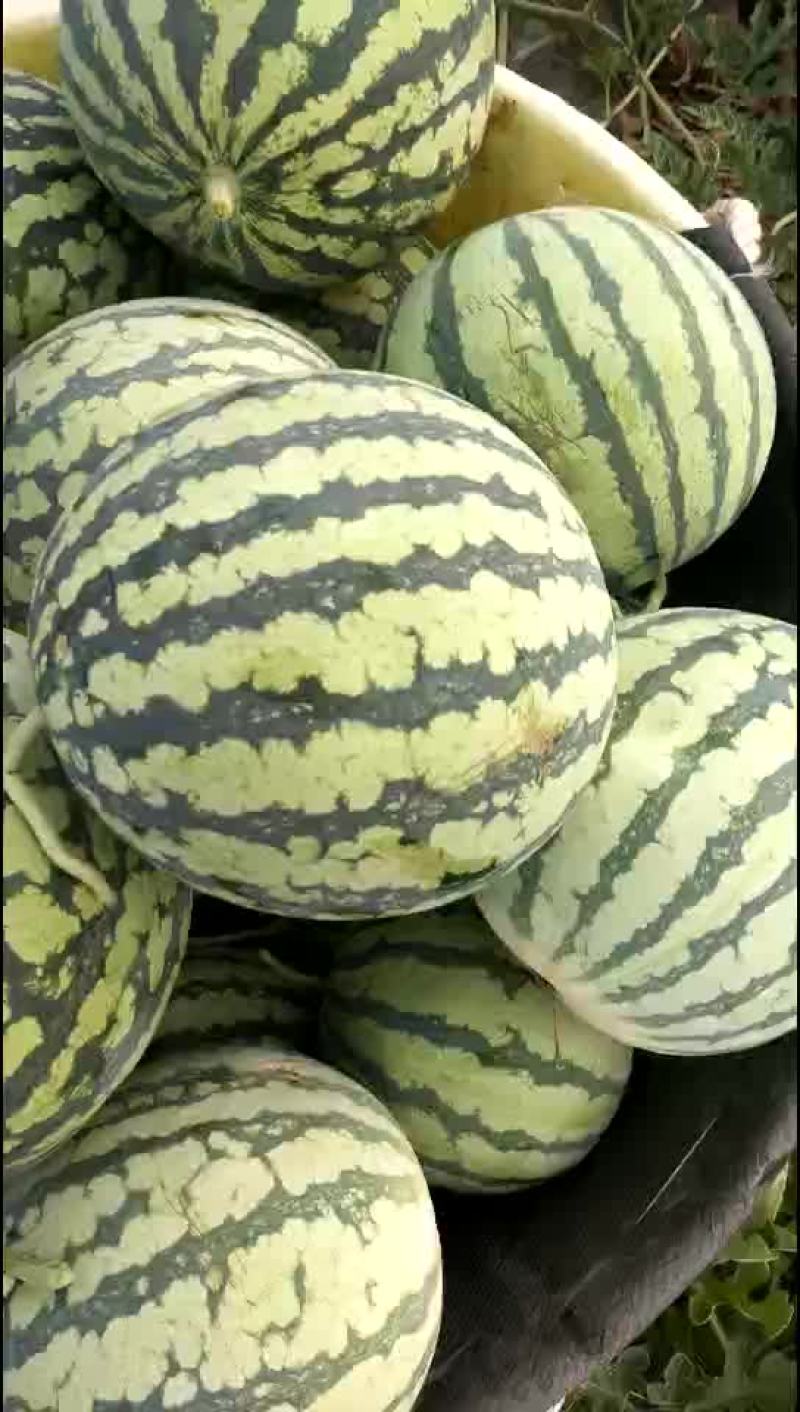 8424