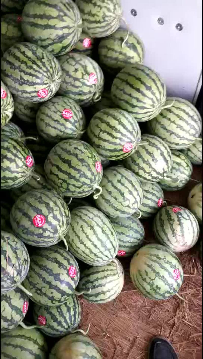 8424
