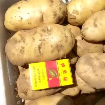 大量库存土豆，库存土豆大量有货，