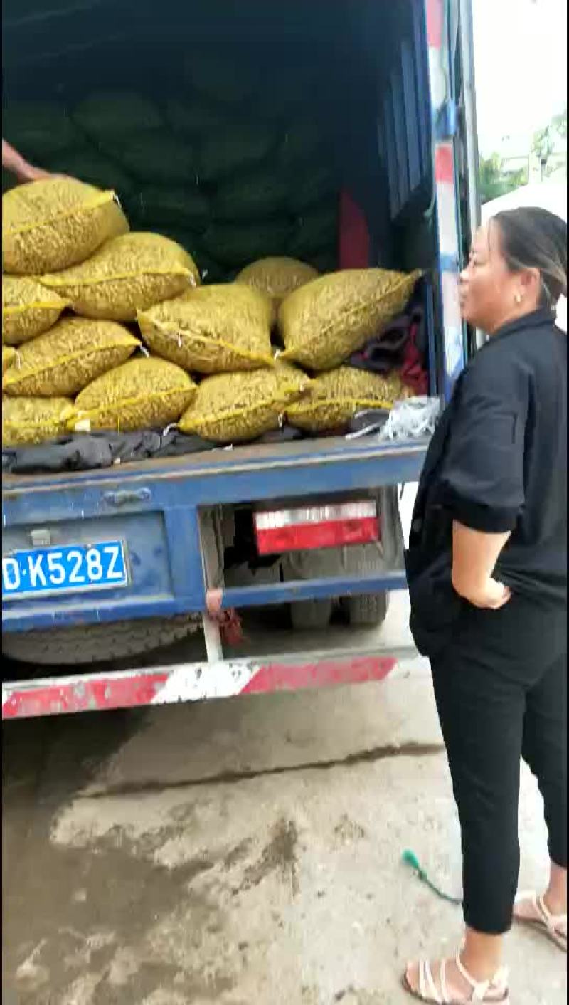 鲜花生！四粒红！两仁白仔